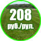 Газон «Премиум»